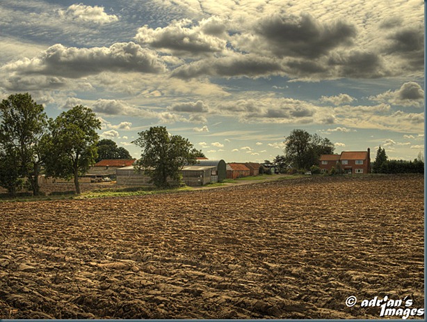 P8313410_1_2_3_4_tonemapped_edited-1