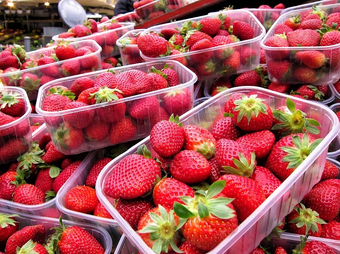 Jifunze Kilimo bora Cha strawberry