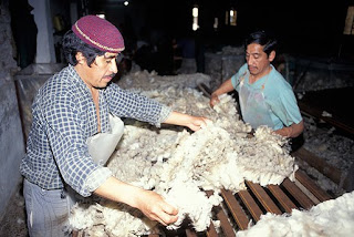 La esquila  de Ovejas en Península Valdés