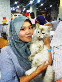 foto kucing cantik kiriman Lieza Marcella 12