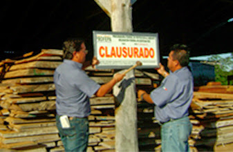 Desarticula PROFEPA red de tala clandestina de maderas tropicales en 5 estados, entre ellos Quintana Roo