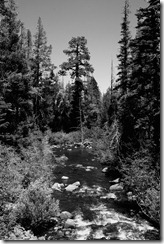 IMG_0036_1