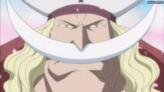 ワンピースアニメ 頂上戦争編 485話 白ひげ 若い頃 Edward Newgate | ONE PIECE Episode 485