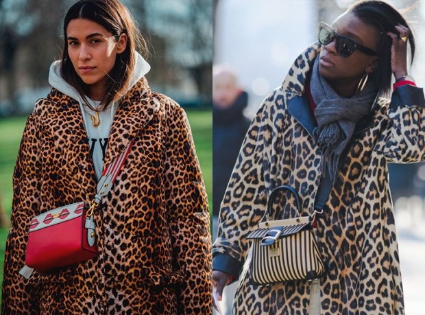 Street Style Fashion Trends 2019 Leopard