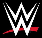 What are the best seats for WWE events?