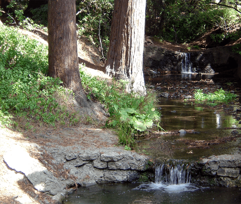 strawberry creek near dwinelle hall uc berkeley