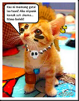 punk emo cat