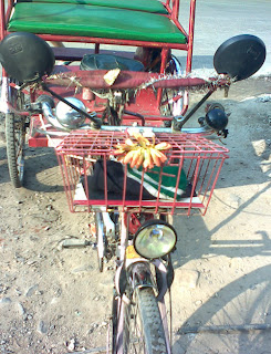 Motorcycle Rickshaw