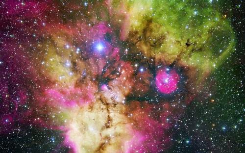Our Universal Family Every Facet Of Consciousness Is Inexplicably Connected Via Wes Annac