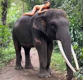 Russian influencer who posed naked on elephant didn’t break any laws: Bali police, posted on Monday, 26 April 2021