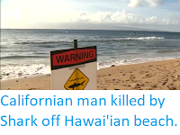 https://sciencythoughts.blogspot.com/2019/05/californian-man-killed-by-shark-off.html