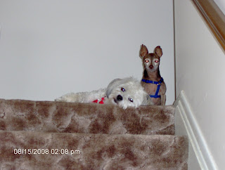 Nisie and Jake at the Top of the Stairs