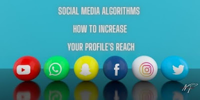 Social Media Algorithms How to Increase Your Profile's Reach