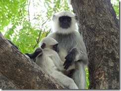 12 07 India (273)