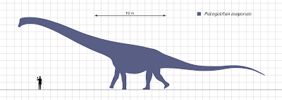 Tamaño del Patagotitan Mayorum en comparación con un hombre