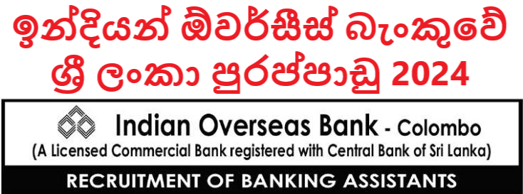 Indian Overseas Bank Colombo Jobs 2024