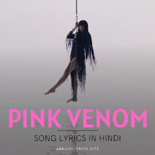 Pink Venom English Lyrics