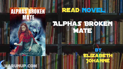Read Novel Alphas Broken Mate by Elizabeth Johanne Full Episode