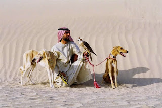 cães do deserto