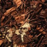 Coklat dapat melindungi terhadap kerusakan gigi