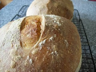 Artisan Bread in Five Minutes a Day