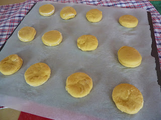 Twelve round portions of dough on a a baking pan with parchment paper