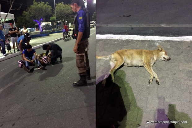 Moto bate em cachorro e deixa duas pessoas feridas na Avenida 29 de Dezembro, em Santa Cruz