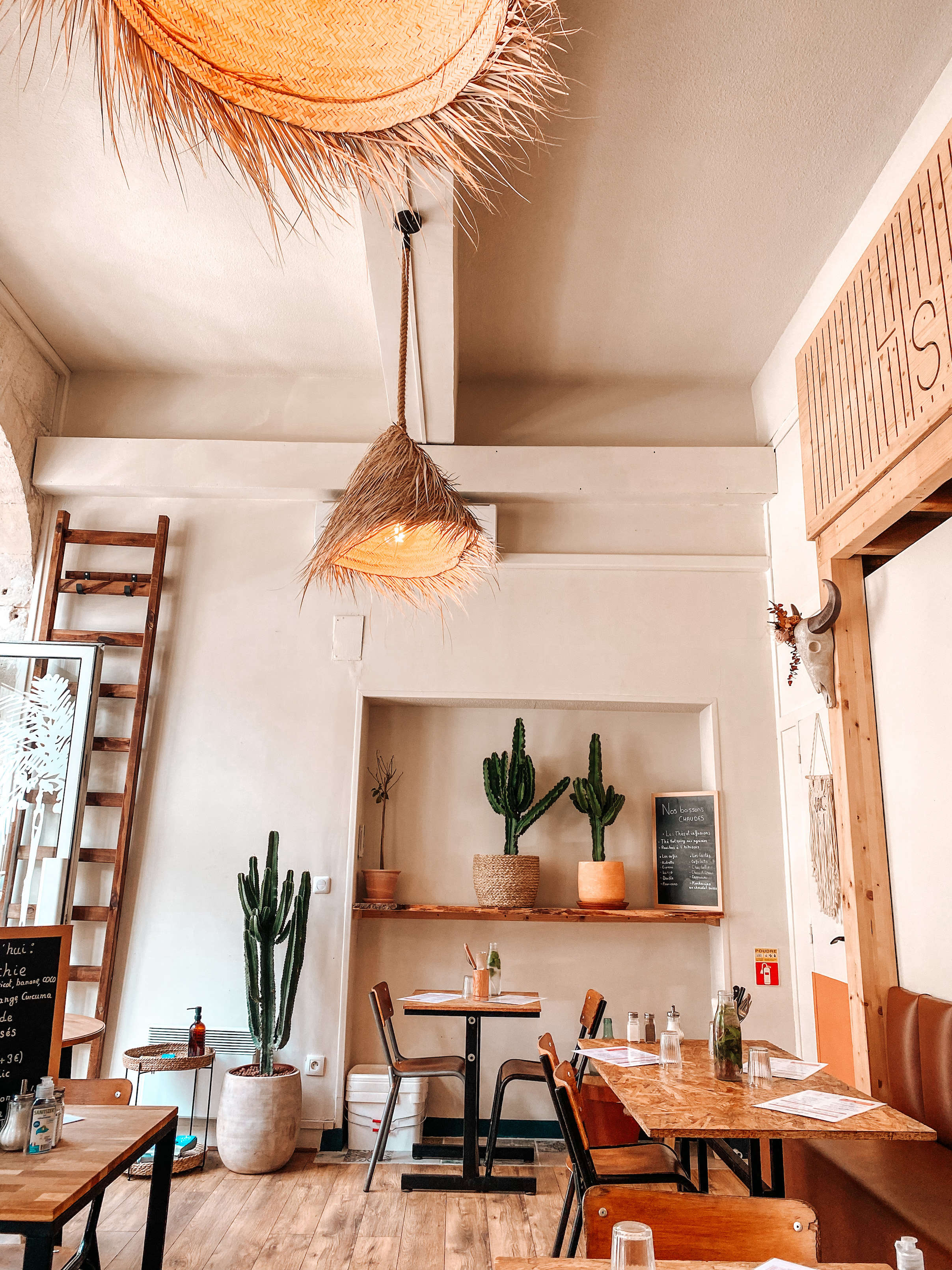 lustre en feuilles de palmiers en haut et cactus et table en bois en bas au restaurant les sauvages à bordeaux