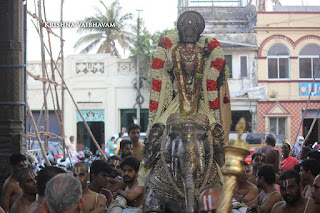 Thiruvallikeni, Sri PArthasarathy Perumal, Temple, Sri Rama NAvami, Yaanai Vahanam, Sri Ramar, 2017, Video, Divya Prabhandam,Utsavam,