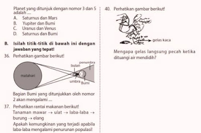 MI akan menghadai Ujian Sekolah Berstandar Nasional  Kumpulan Soal Latihan USBN SD/MI Tahun 2018