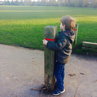 David looking out in a park