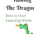 Welsh Language - Welsh Language Courses Online