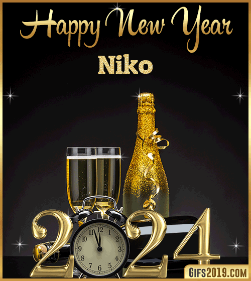 Champagne Bottles Glasses New Year 2024 gif for Niko