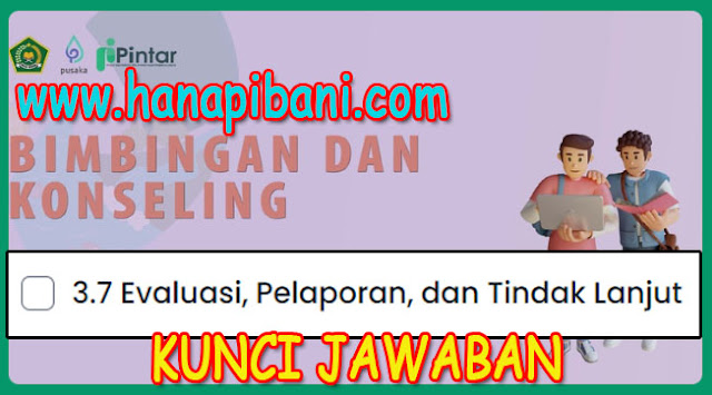 hanapibani.com