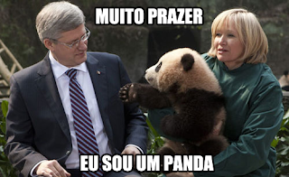 panda apresenta-se e estende a mão para cumprimentar