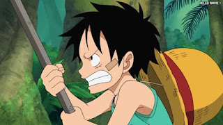 ワンピースアニメ 504話 幼少期 ルフィ かわいい Monkey D. Luffy | ONE PIECE Episode 504 ASL