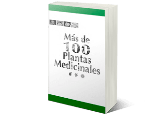 Más de cien plantas medicinales. | PDF