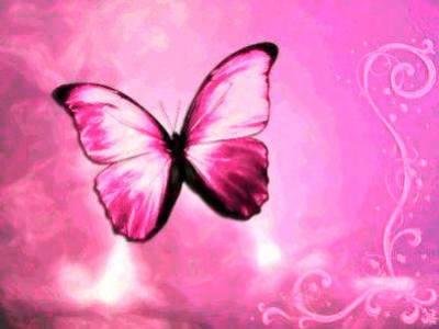 Butterfly Backgrounds on Pink Butterfly Wallpaper  Green Butterfly Wallpaper  Free Butterfly