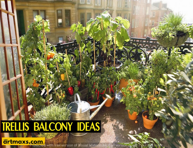 trellis balcony ideas