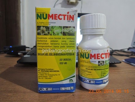  Apa yang akan saya sampaikan kali ini mungkin sudah termasuk kategori gosip yang suda INSEKTISIDA PENGENDALI KUTU TANAMAN