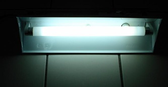 [fish_light][15]