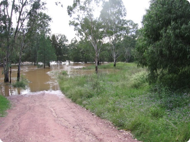 Gwydir River Campground - the flood develops - Taken by Mal & Kerry