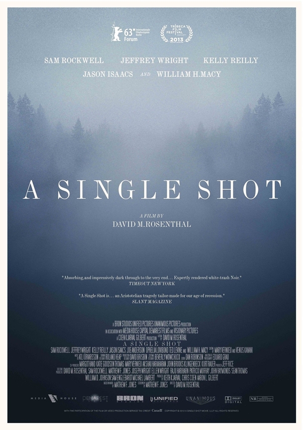 A Single Shot poster