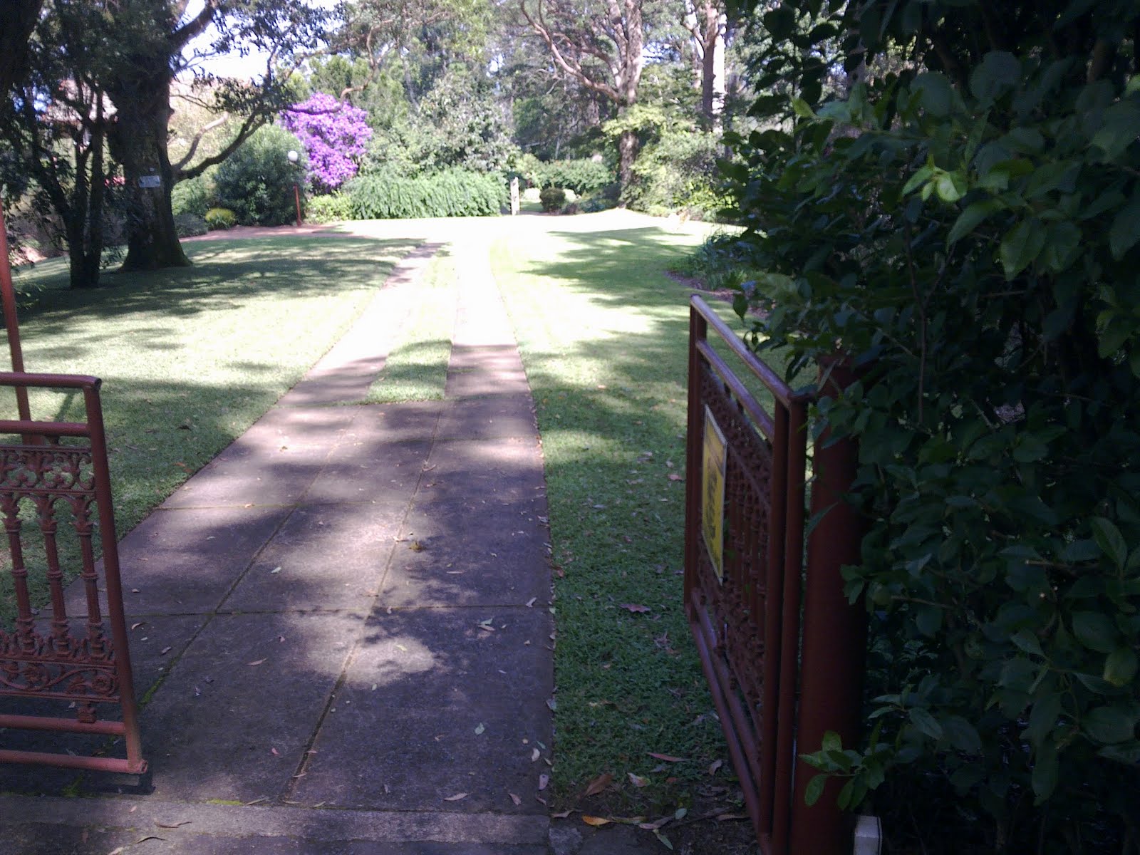 My Veggie Garden More Autumn Walking