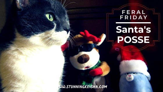 Feral Friday: Santa's Posse