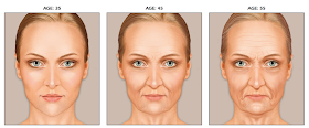 How a face changes through time and age