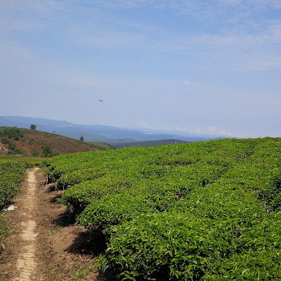  Đà Lạt du hí...