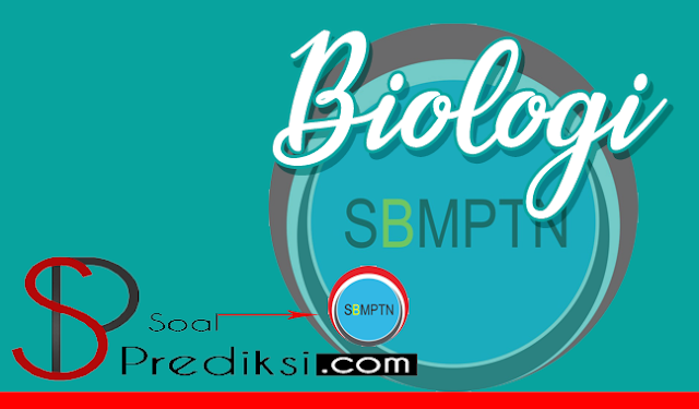  Di kesempatan kali ini admin akan mempostingkan √ +100 Latihan Soal SBMPTN Biologi 2019 dan Kunci Jawaban (+Pdf)