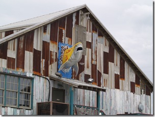 P5020089