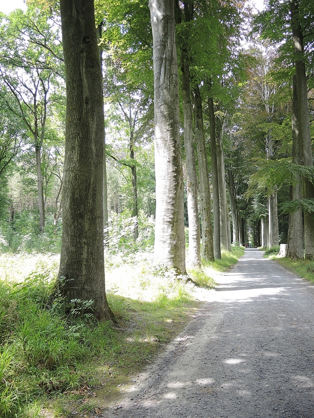 De Koninklijke wandeling in Tervuren